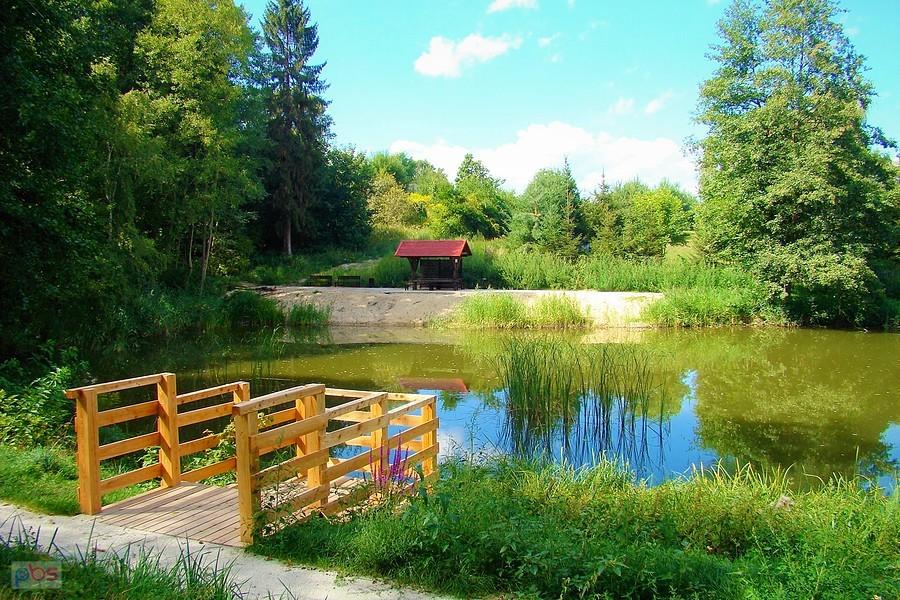 Staw w Kurowie Małym