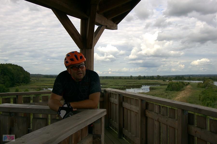 Radek na wieży