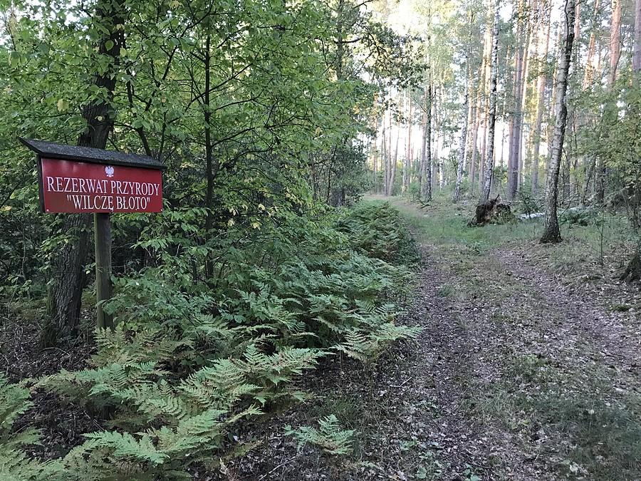 Wilcze Błoto