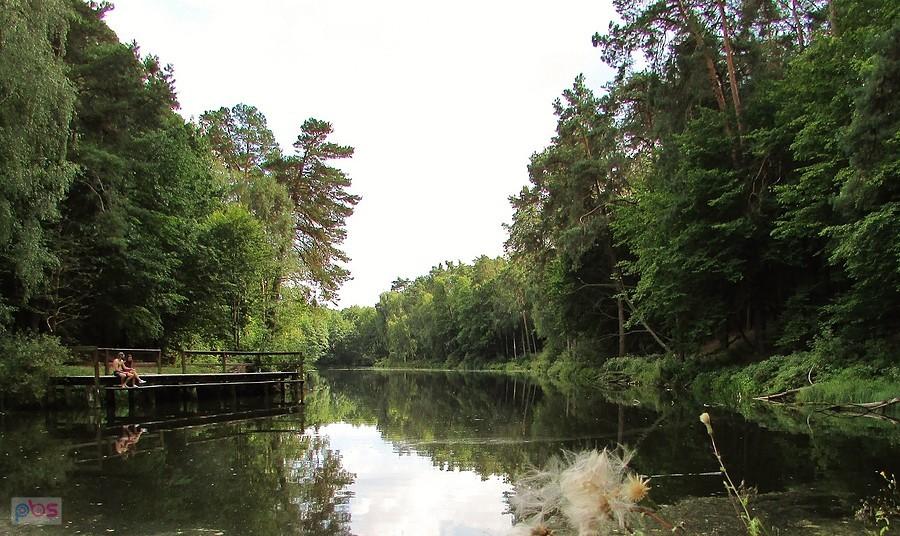 Spiętrzona woda na strudze Krypianka w Garbatce-Letnisku