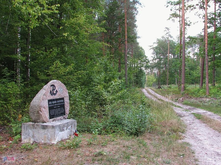 Głaz upamiętniający żołnierzy Batalionu Kozienickiego