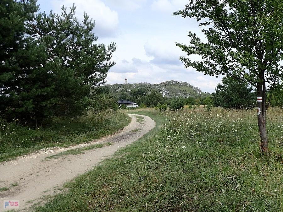 Z widokiem na zamek