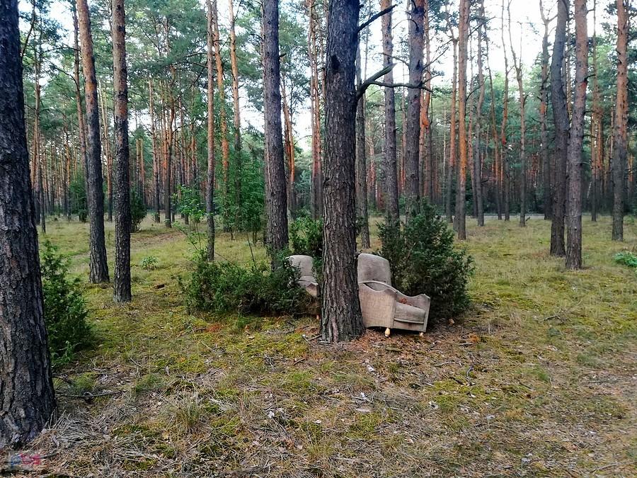 Kącik kontemplowania przyrody leśnej