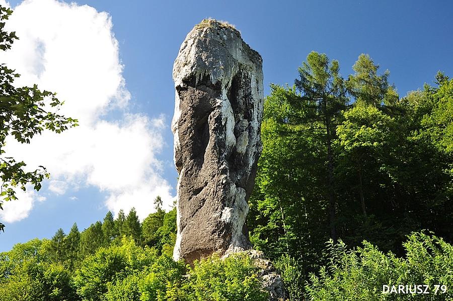 Maczuga Herkulesa