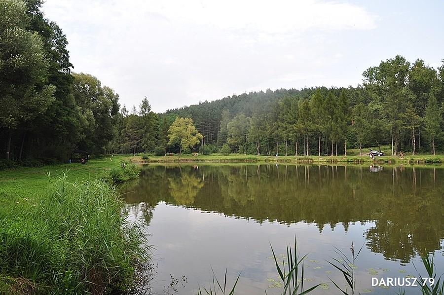 Sławków - Niwa - Staw