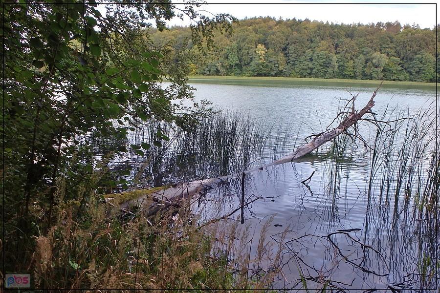 Okoliczne śliczne jeziorka...
