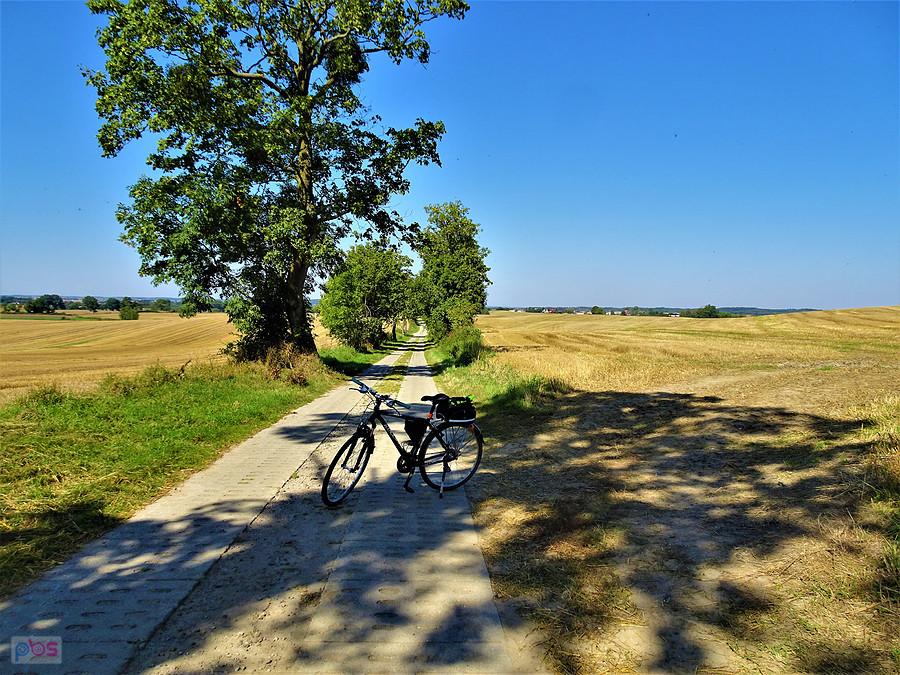 Niedziela na rowerze - Kociewie.