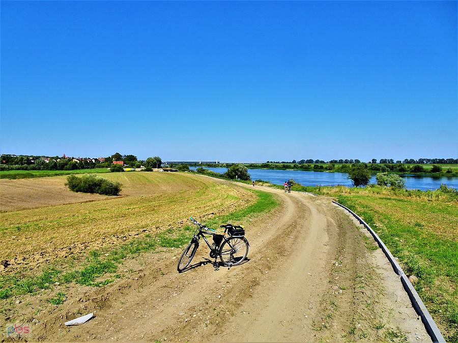 Niedziela na rowerze - Kociewie. Ścieżka rowerowa w budowie - wzdłuż Wisły, gmina Tczew.