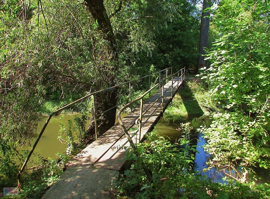 Kładka dla wtajemniczonych na Jeziorce