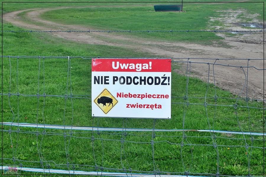 Tabliczka ostrzegająca przed bizonami