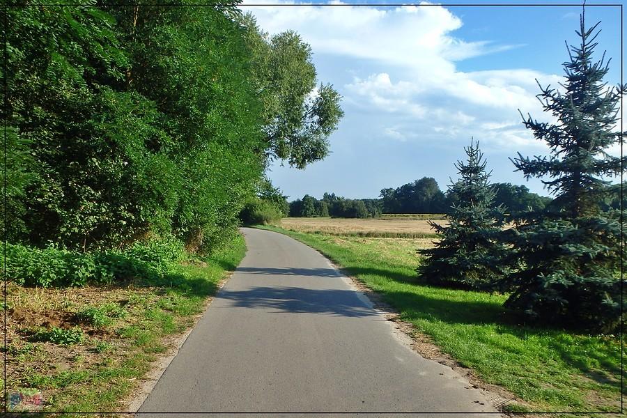 Śliczna ścieżka rowerowa