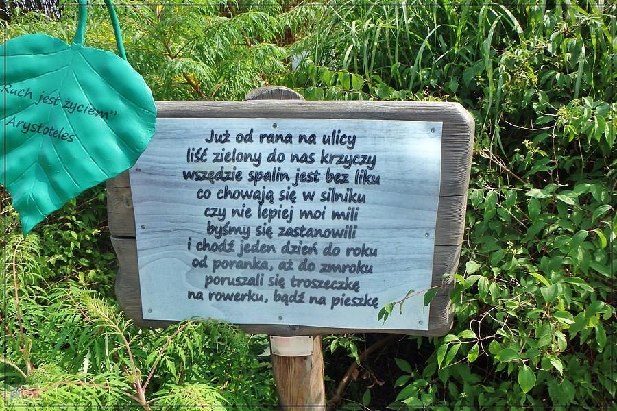 Ciekawa sentencja