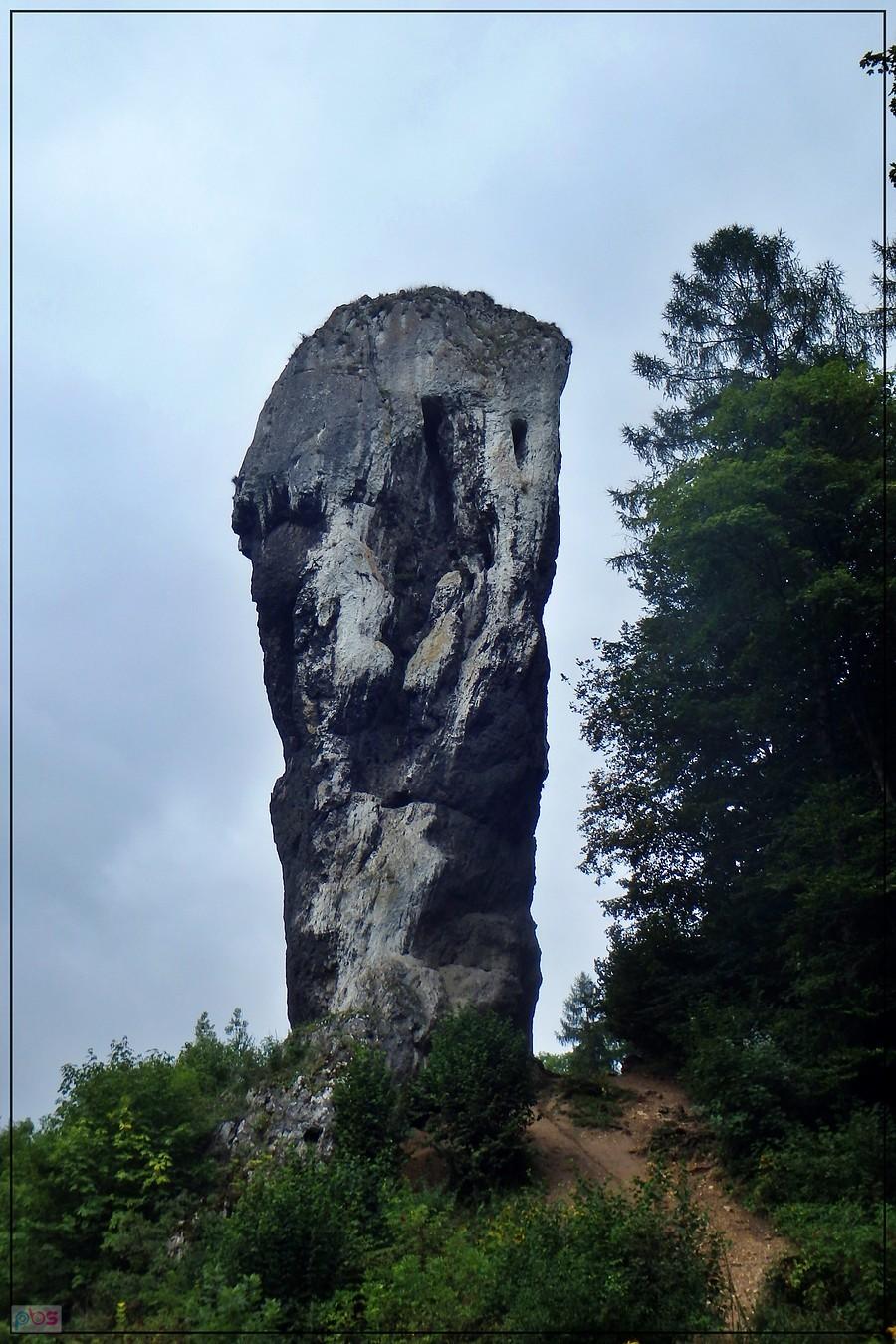Maczuga Herkulesa