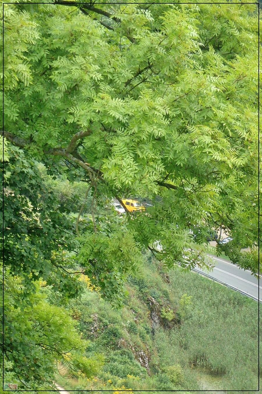 Busik w oddali