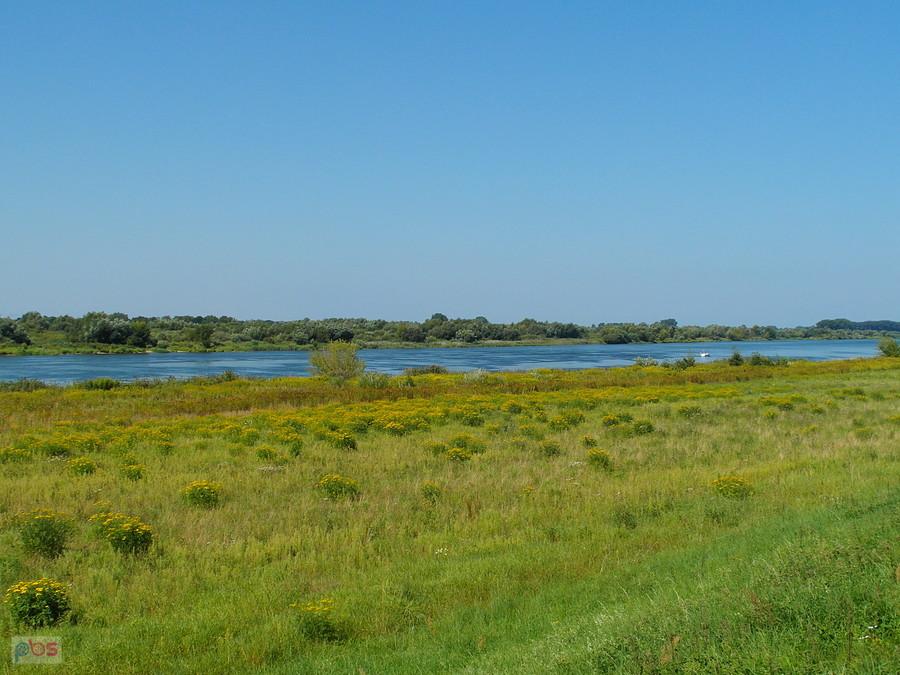Szlak Camino
