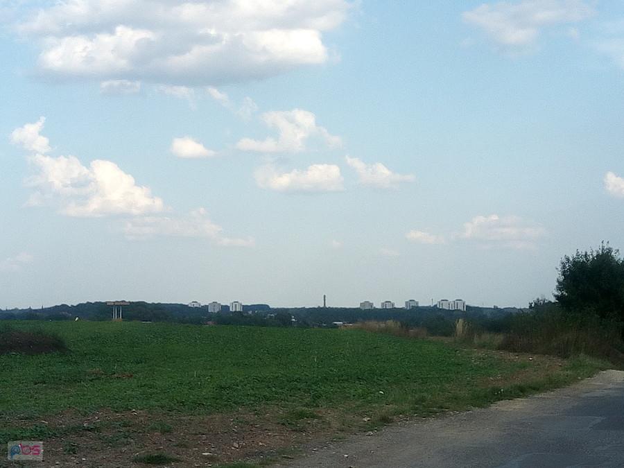 tarnogórski Manhattan