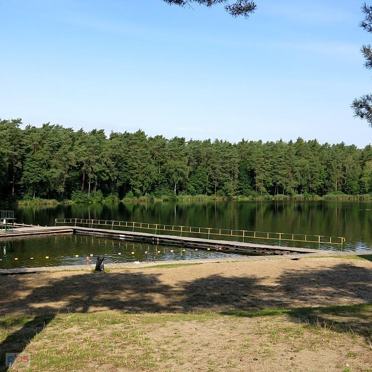 Staw śródleśny w Staszowie