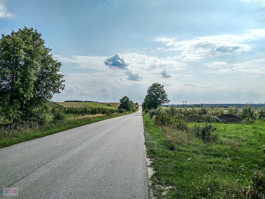 Dokąd ta droga prowadzi?