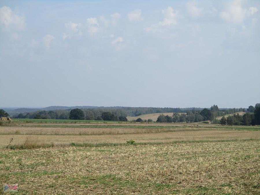 Takie tam gdzieś w PKWŁ