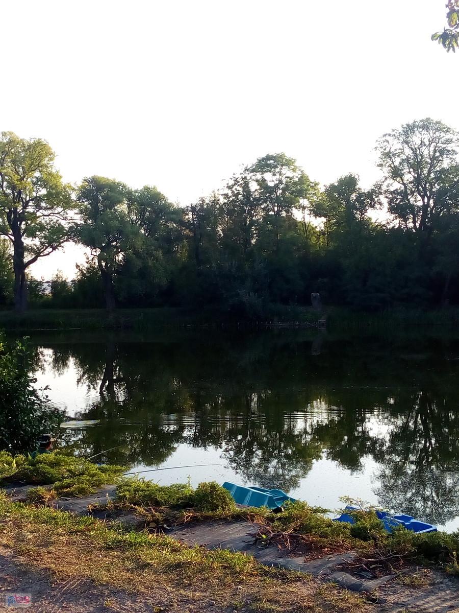 Staw w Ołtarzewie