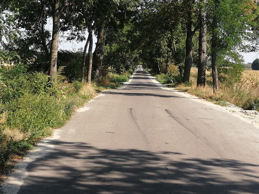 Boczna droga łącząca Gołuchów z Kajewem.