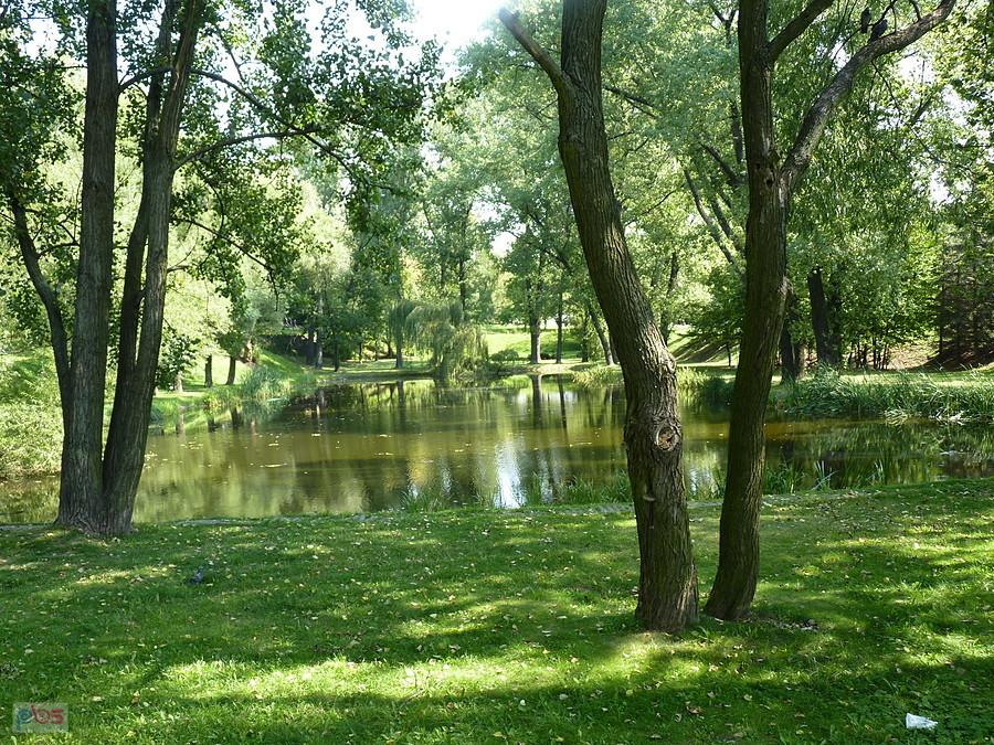 jakiś staw