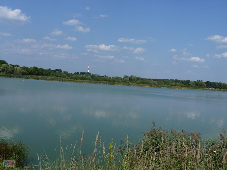 Żabie Doły