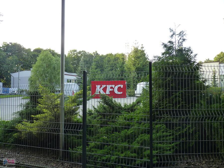 głodna jestem