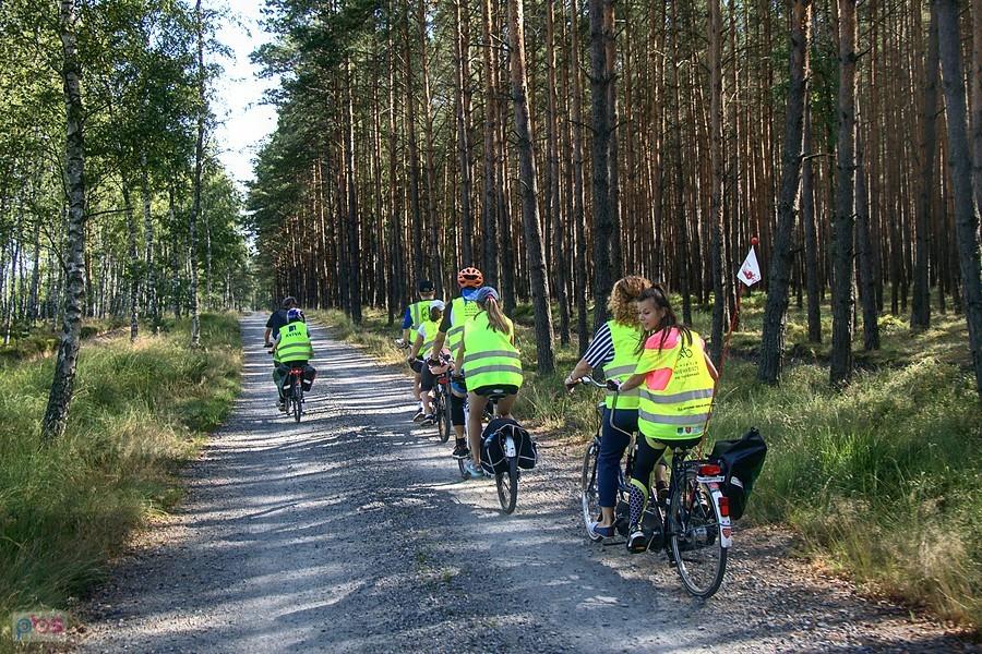 drogą pożarową przez las do Jasienicy