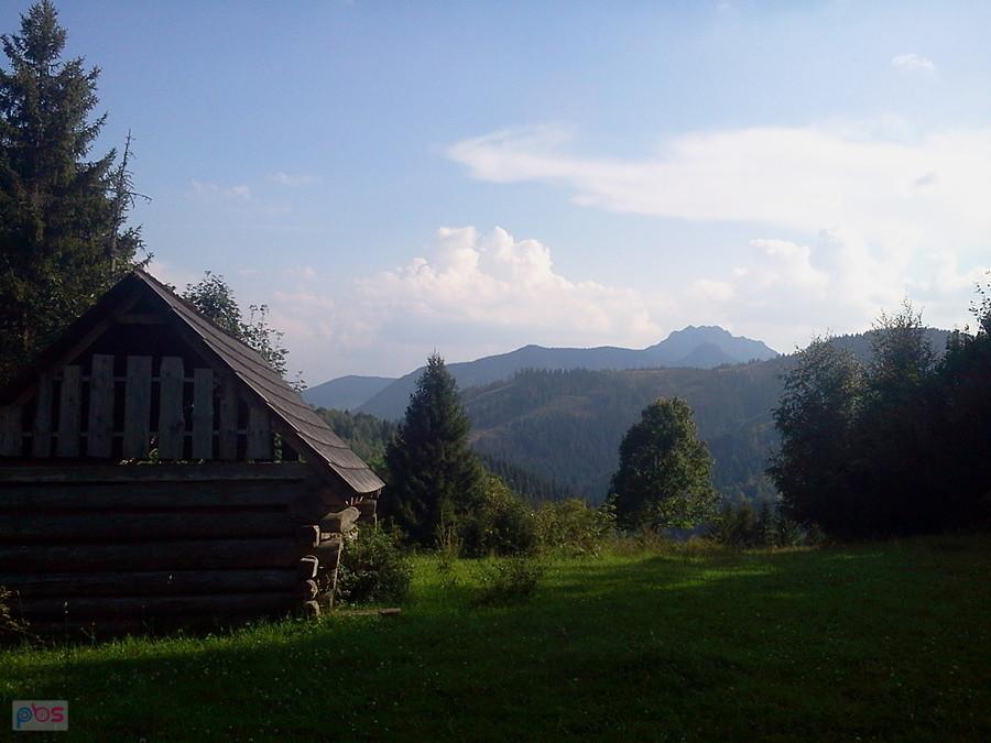 Widoczek na Rozsutec