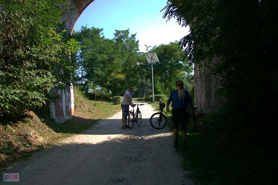 siwobrody i benasek pod wiaduktem