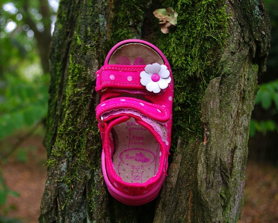 Motyw z horroru czy jakaś akcja? - Wielkopolski Park Narodowy