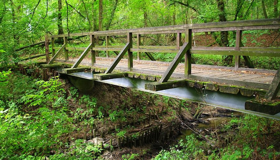 Szlakiem klimatycznych mostków - Wielkopolski Park Narodowy