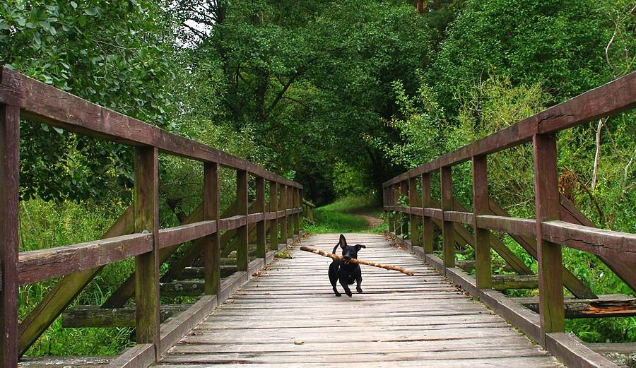 Kijek o szerokości optymalnej :) - Wielkopolski Park Narodowy