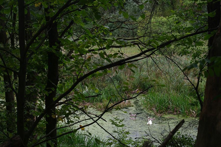 Zza winkla, familijnie - Wielkopolski Park Narodowy