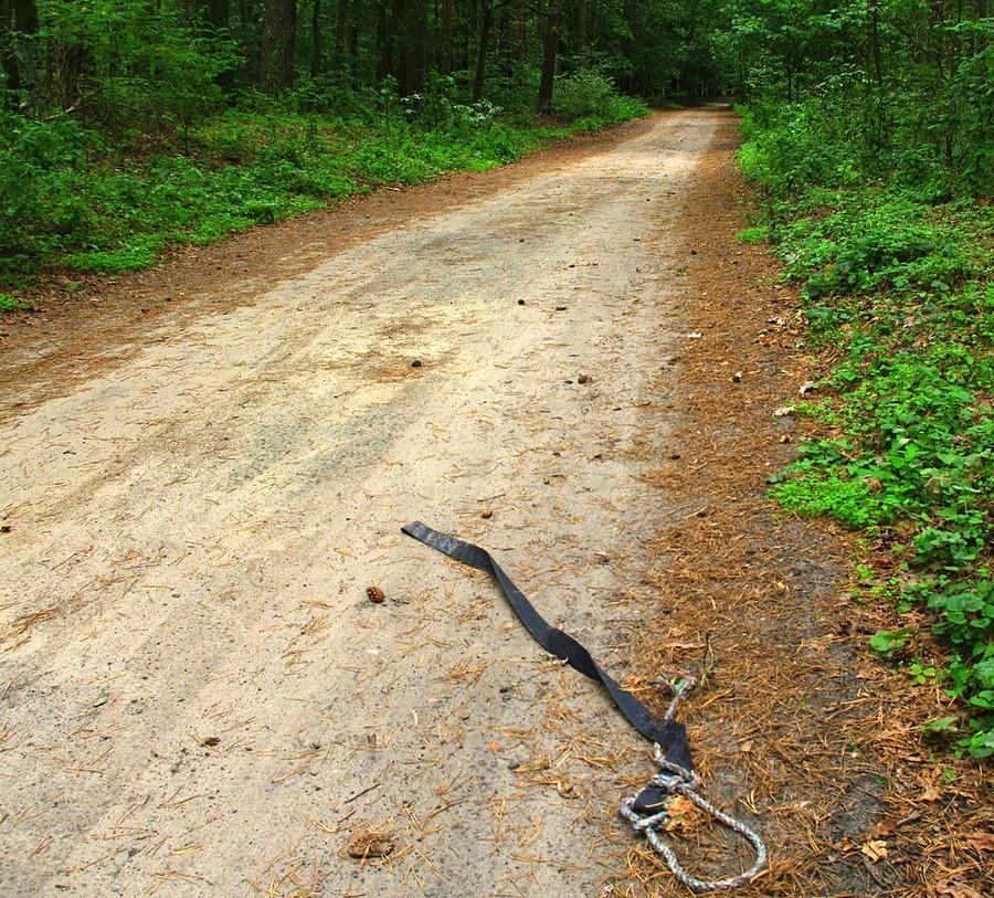 Ot, po prostu szubienica znaleziona przy drodze - Wielkopolski Park Narodowy