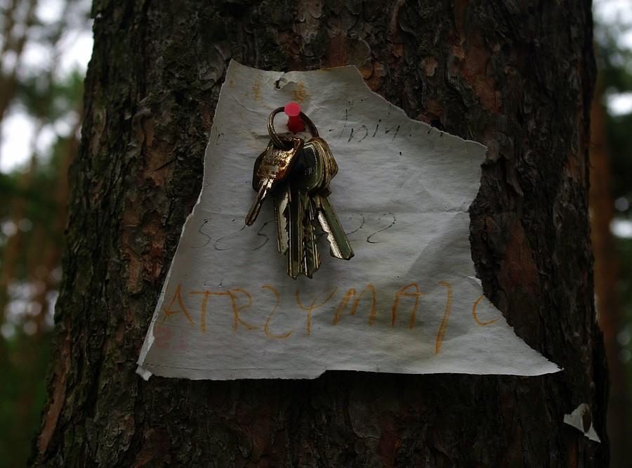 Jakby ktoś szukał... - Wielkopolski Park Narodowy