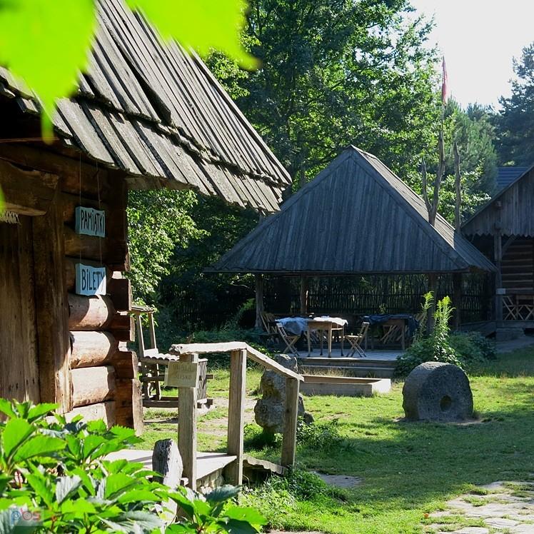 W Zagrodzie Guciów. Zdjęcie zza ogrodzenia