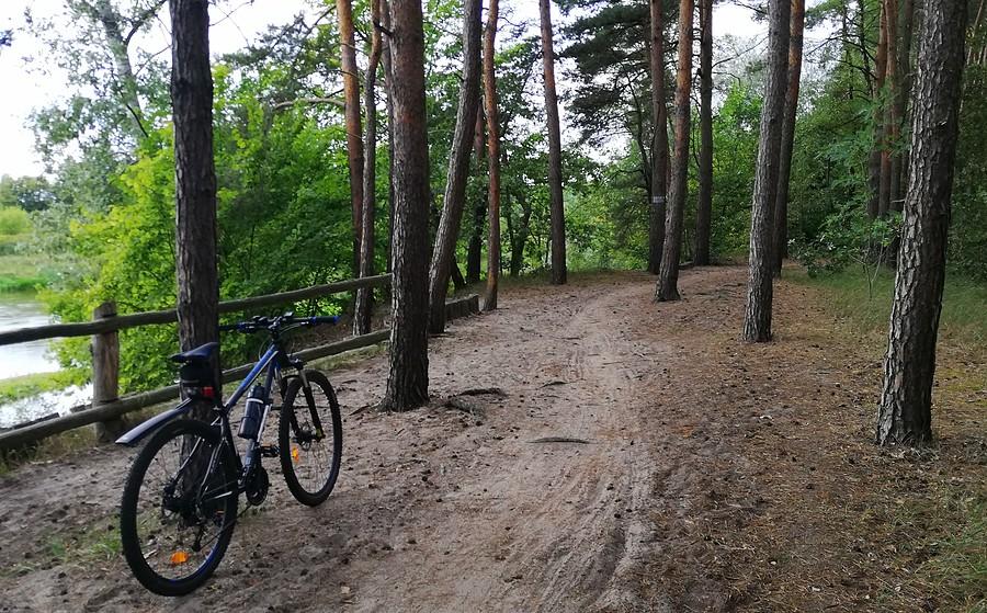 Piaseczek, piaseczek - Nadwarciański Szlak Rowerowy