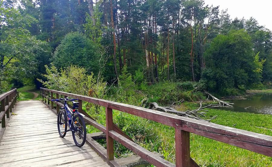 Mostek nadbagienny - Nadwarciański Szlak Rowerowy