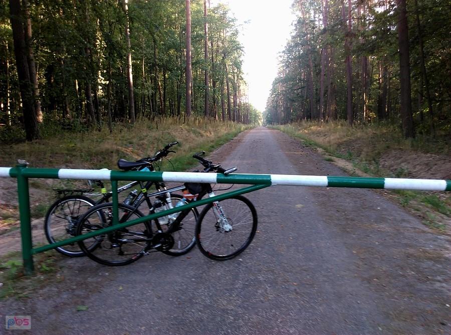 Sobota i nowa droga leśna