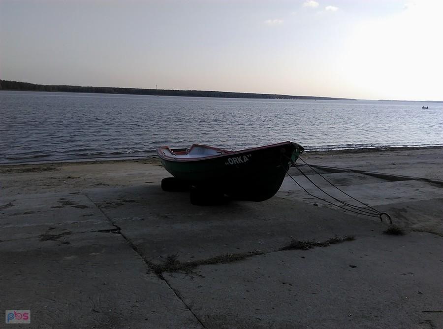 Orka długo nie odpłynie