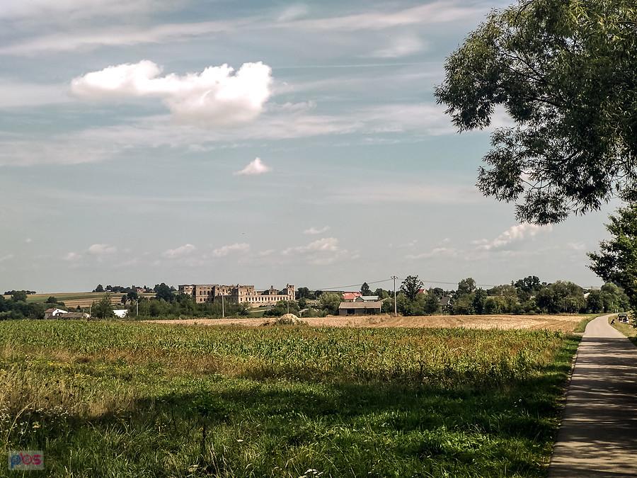 W oddali ruiny zamku Krzyżtopór w Ujeździe
