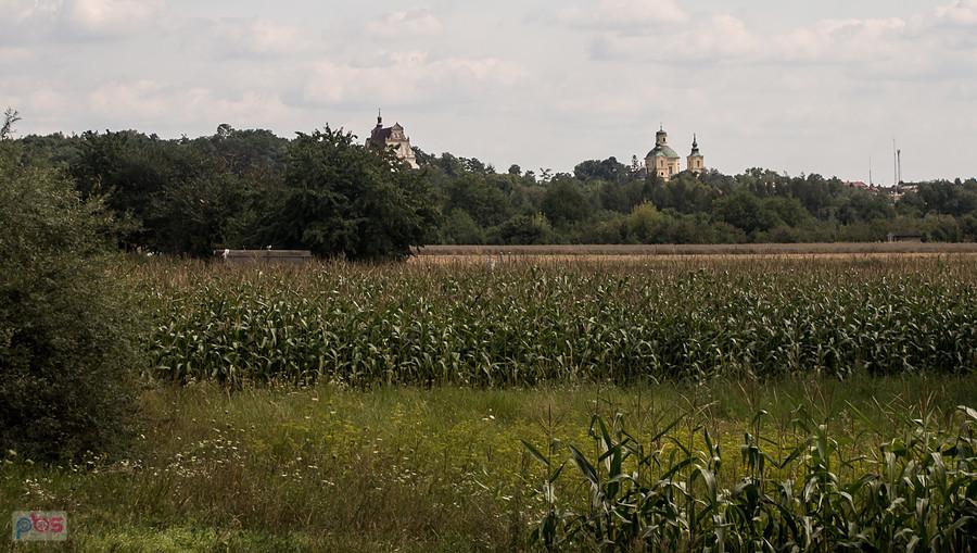 W oddali widać Klimontów