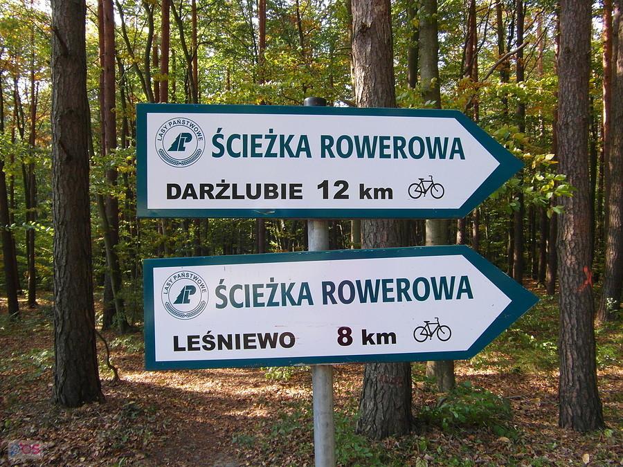 Puszcza Darżlubska