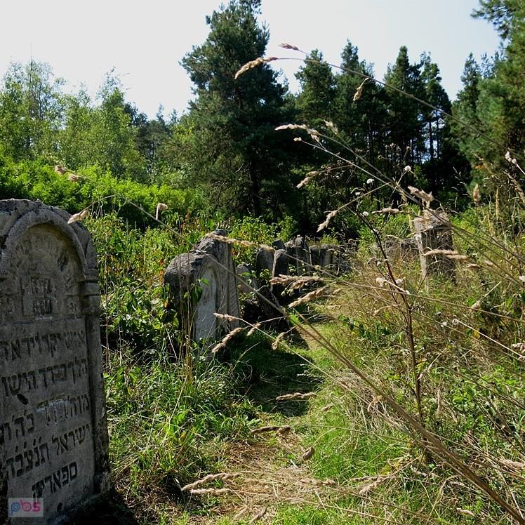 Założony został w pierwszej poł. XVIII wieku - kirkut w Józefowie