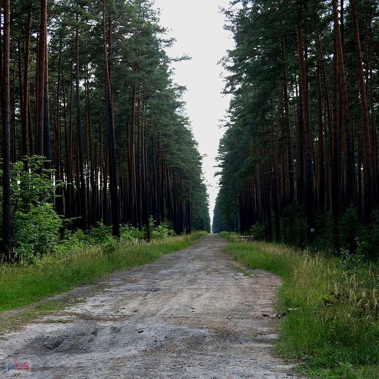 Bez sakw, w stronę Szumów nad Tanwią