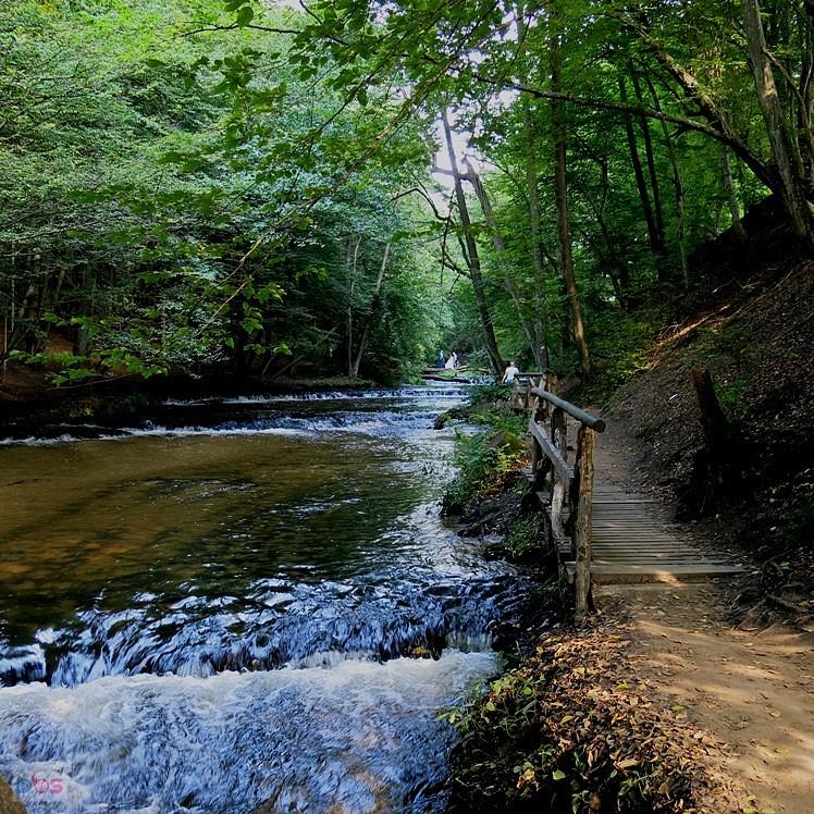 Szumy nad Tanwią