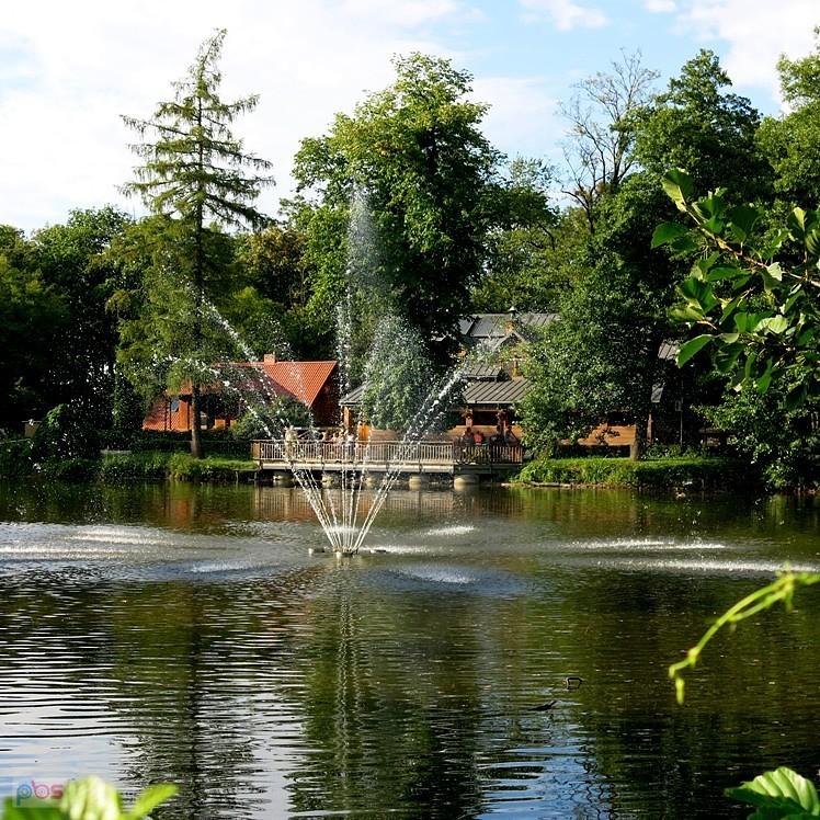 Nad stawem Kościelnym - Zwierzyniec