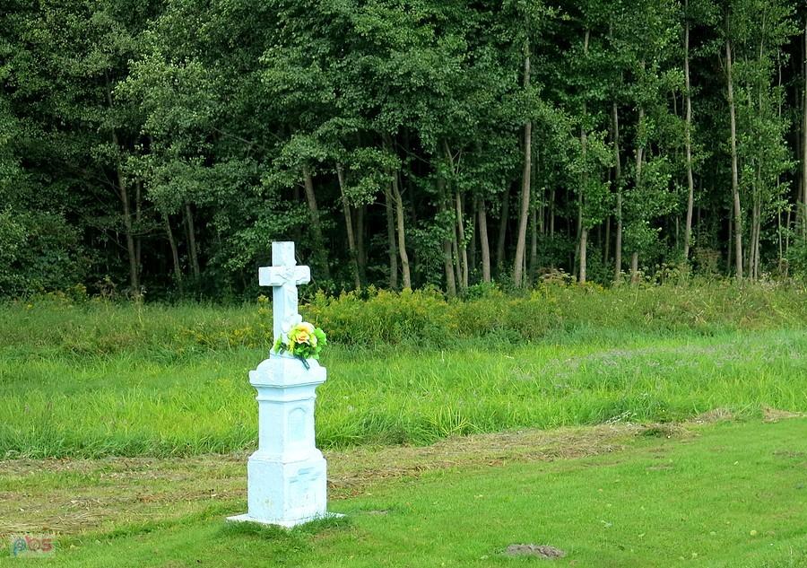 Białe krzyże stoją we wsiach